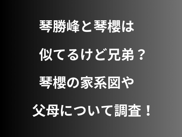 琴勝峰と琴櫻は似てるけど兄弟？琴ノ若の家系図や父母について調査！