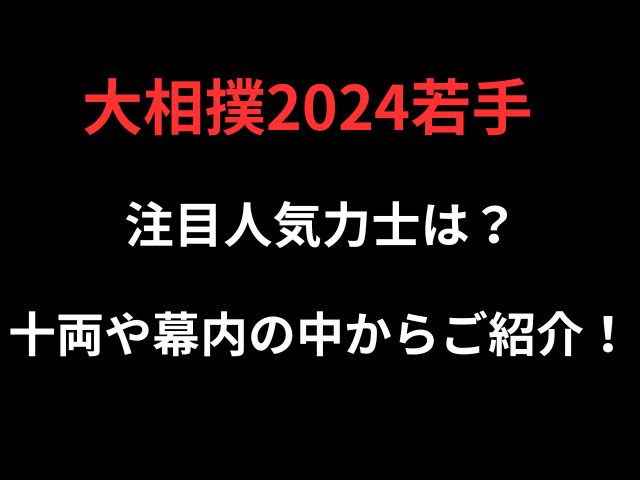 大相撲2024若手注目人気力士は？十両や幕内の中からご紹介！