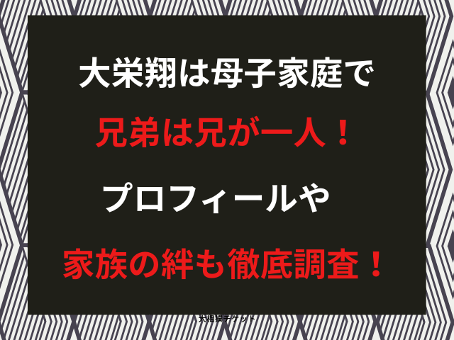 大栄翔は母子家庭で兄弟は兄が一人！プロフィールや家族の絆も徹底調査！