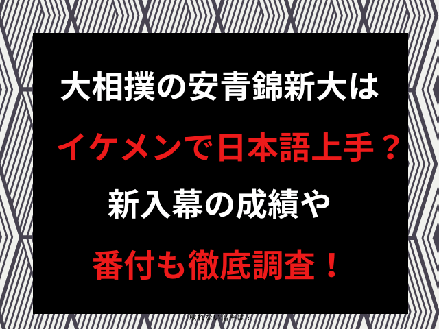 大相撲の安青錦新大はイケメンで日本語上手？新入幕の成績や番付も徹底調査！