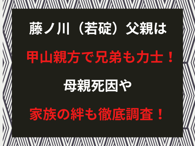 藤ノ川（若碇）父親は甲山親方で兄弟も力士！母親死因や家族の絆も徹底調査！