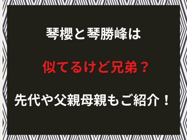 琴櫻と琴勝峰は似てるけど兄弟？先代や父親母親もご紹介！（2026年2月）