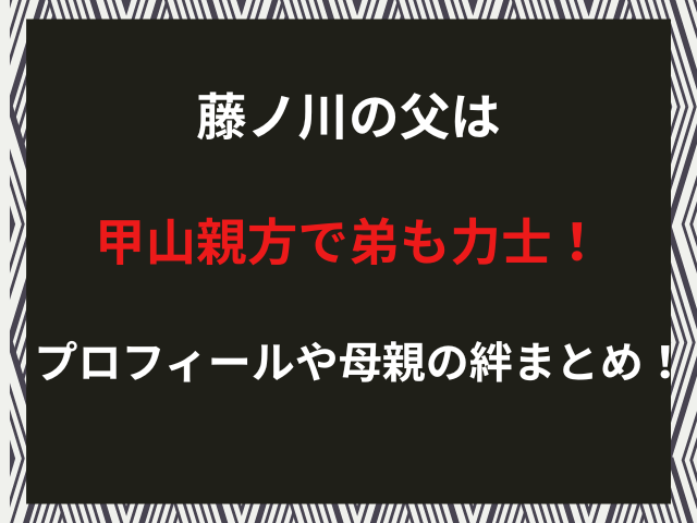藤ノ川の父は甲山親方で弟も力士！プロフィールや母親の絆まとめ！