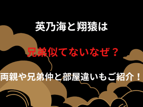 英乃海と翔猿は兄弟似てないなぜ？両親や兄弟仲と部屋違いもご紹介！