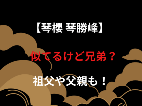 【琴櫻 琴勝峰】似てるけど兄弟？祖父や父親も！